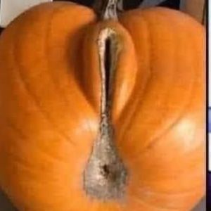 Meet your Posher, Kriss